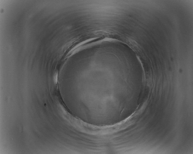 X0000068770047200605011038