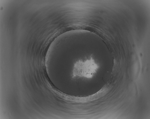 X0000068770048200605011038