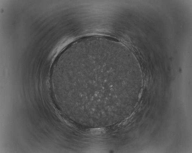 X0000068770050200605011037