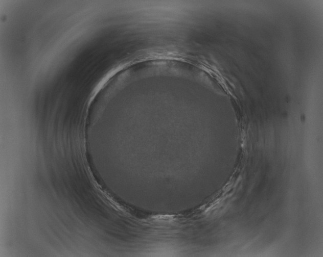 X0000068770052200605011037