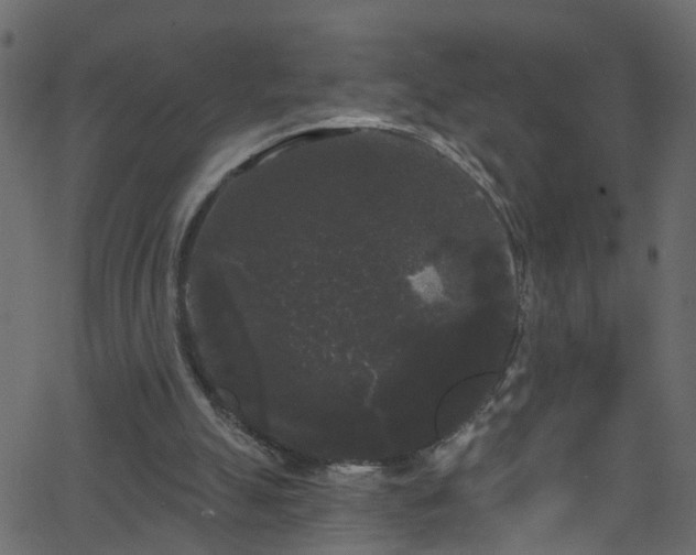 X0000068770055200605011037