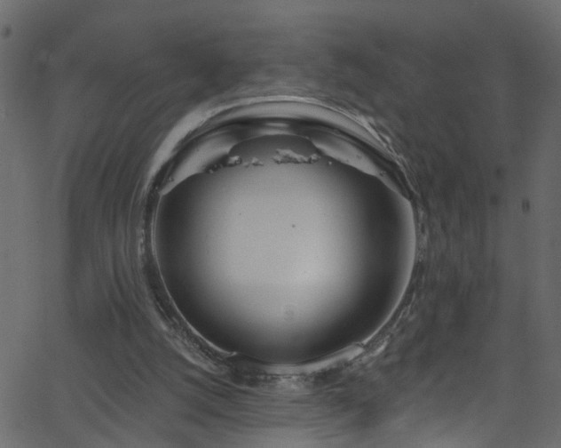 X0000068770056200605011037