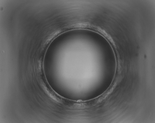 X0000068770057200605011037