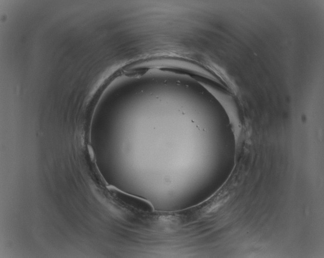 X0000068770060200605011037