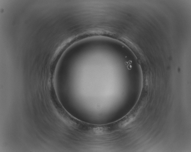 X0000068770064200605011037