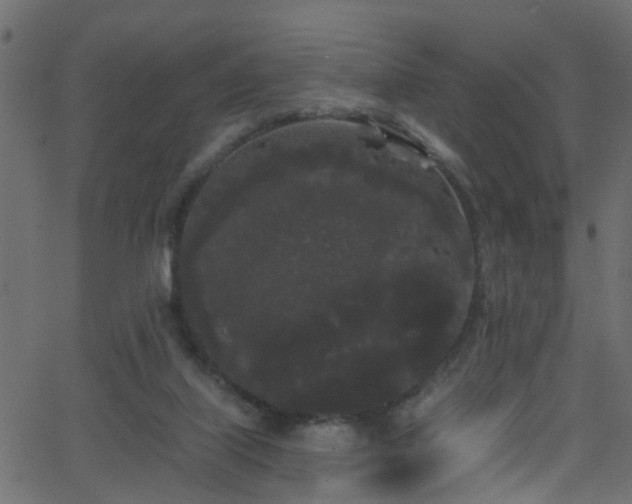 X0000068770067200605011037