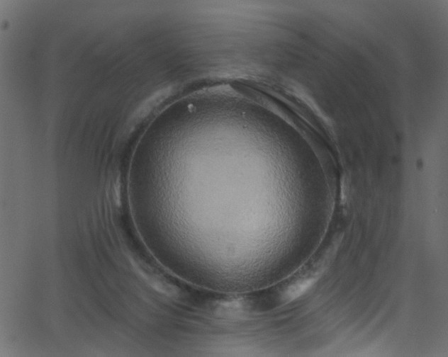 X0000068770068200605011037