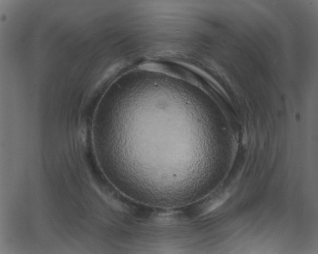 X0000068770072200605011037