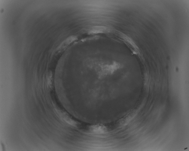 X0000068770073200605011037