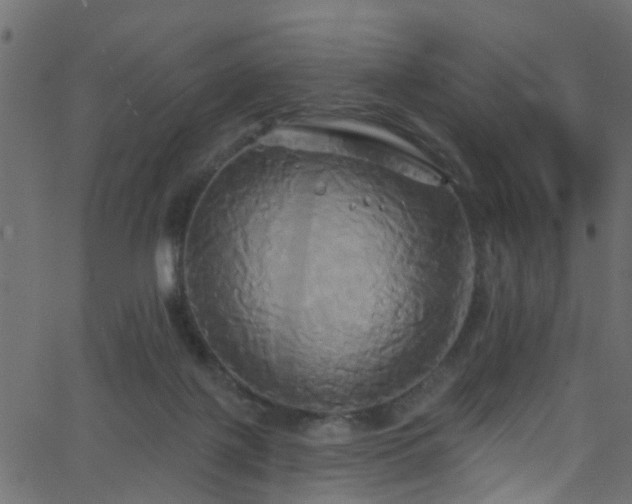 X0000068770075200605011038