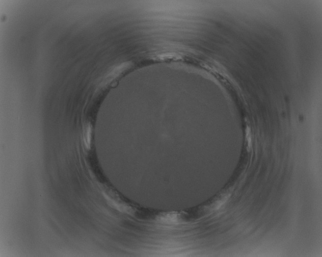 X0000068770076200605011038