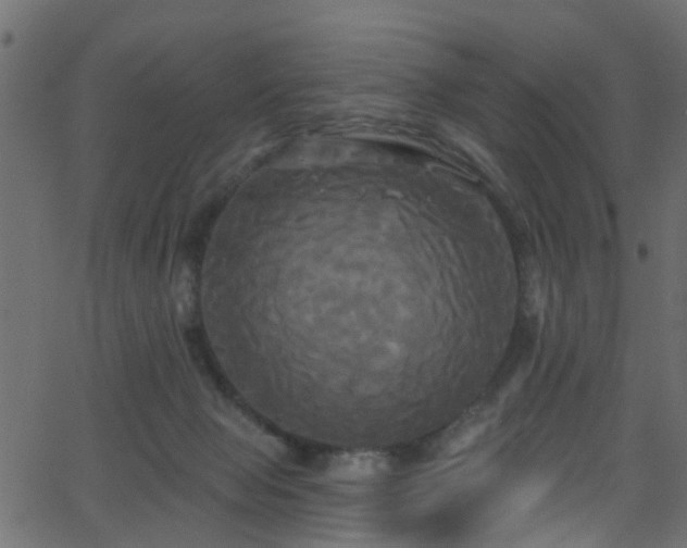 X0000068770077200605011038