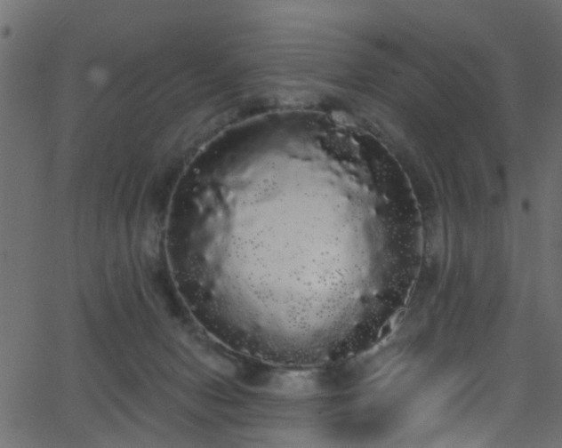 X0000068770078200605011038