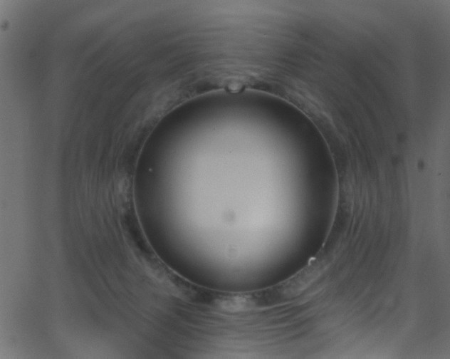 X0000068770079200605011038