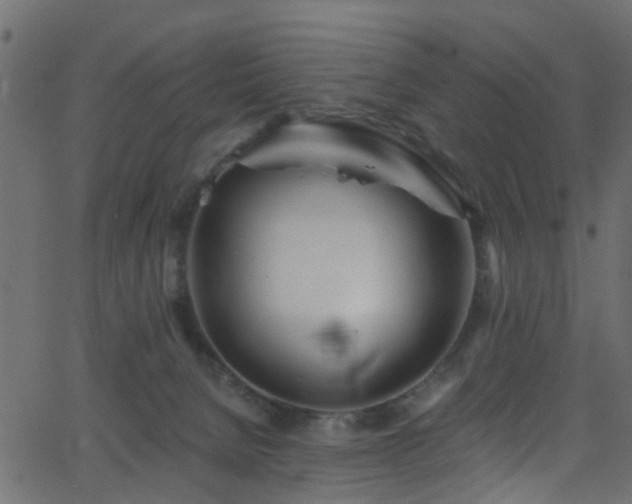 X0000068770080200605011038