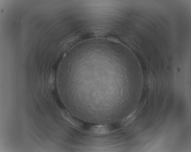 X0000068770082200605011038