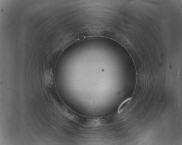 X0000068770083200605011038