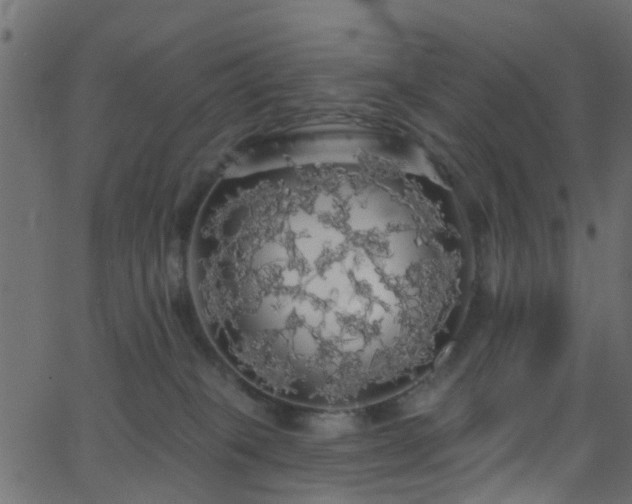 X0000068770085200605011038