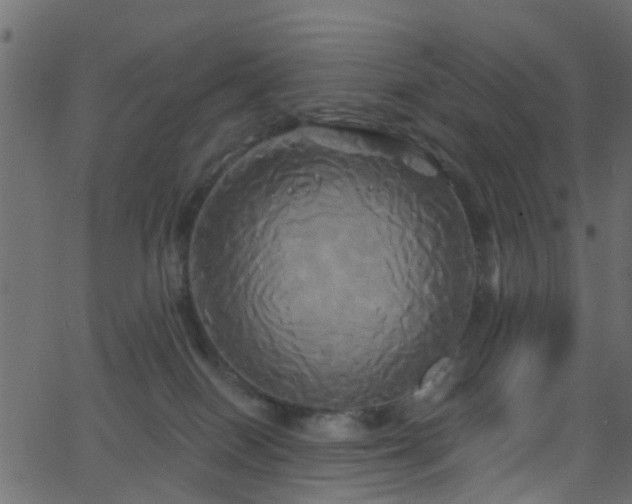 X0000068770086200605011038