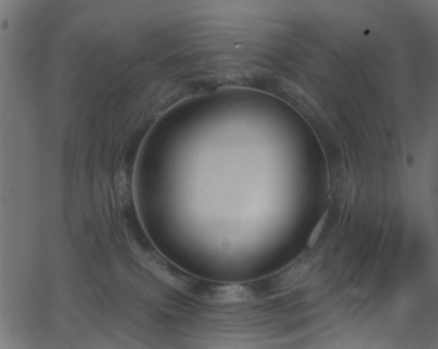 X0000068770087200605011038