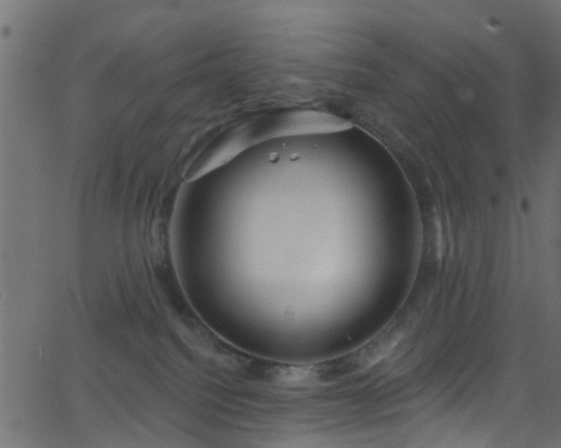 X0000068770088200605011038