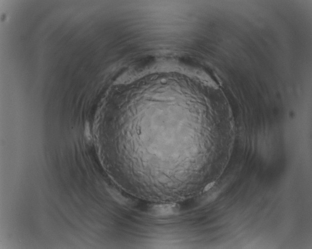 X0000068770089200605011038