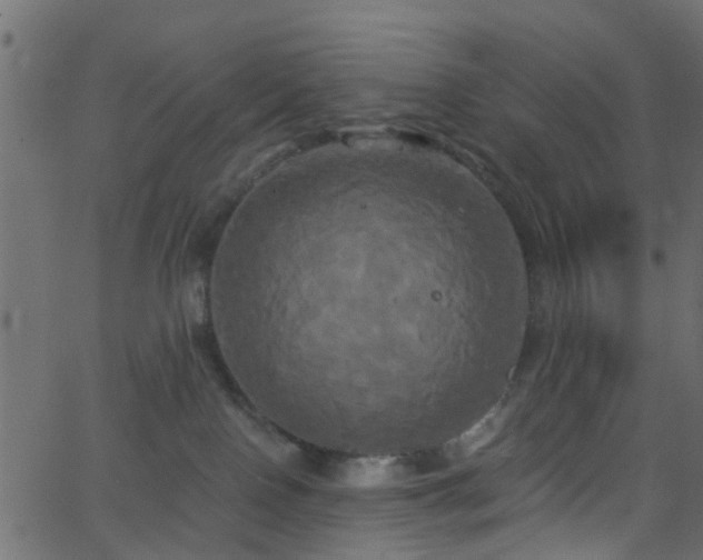 X0000068770090200605011038