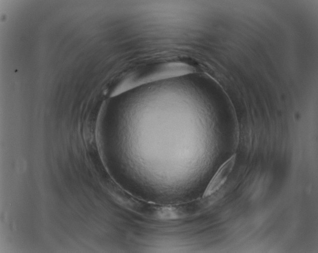 X0000068770091200605011038