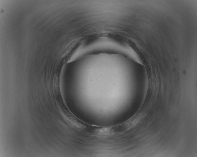 X0000068770092200605011038