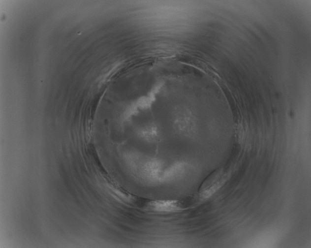 X0000068770093200605011038