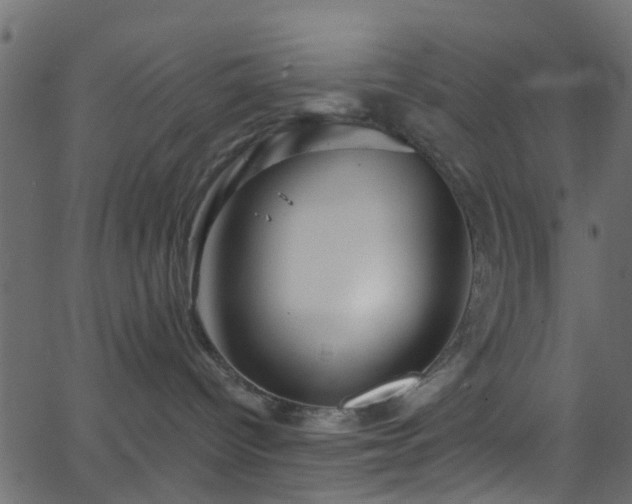 X0000068770096200605011038