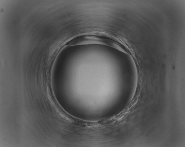 X0000068770097200605011037