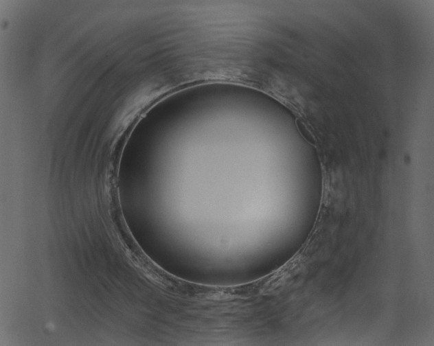 X0000068770098200605011037