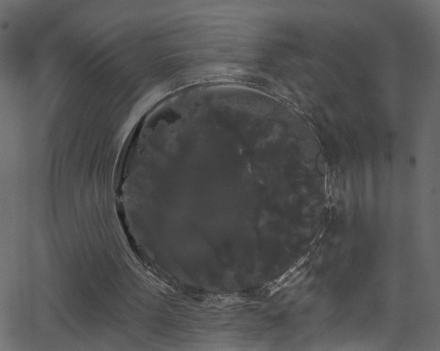 X0000068770099200605011037