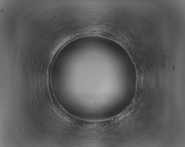 X0000068770100200605011037