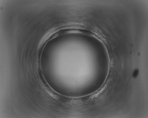 X0000068770101200605011037