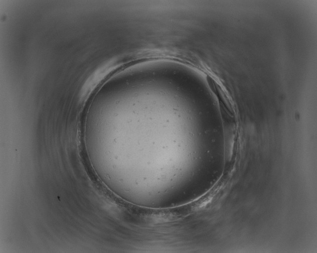 X0000068770103200605011037