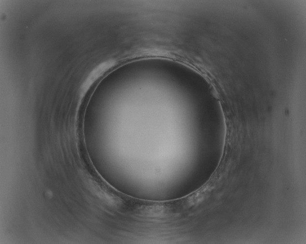 X0000068770104200605011037