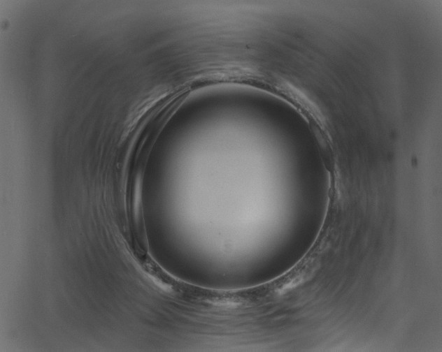 X0000068770105200605011037