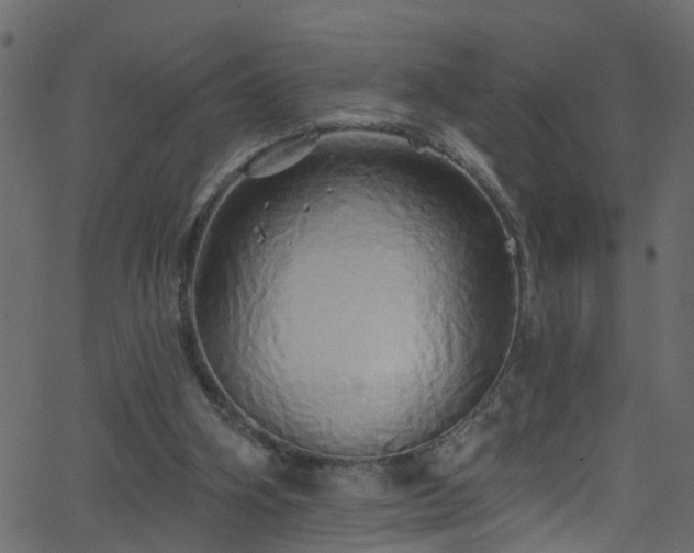 X0000068770106200605011037