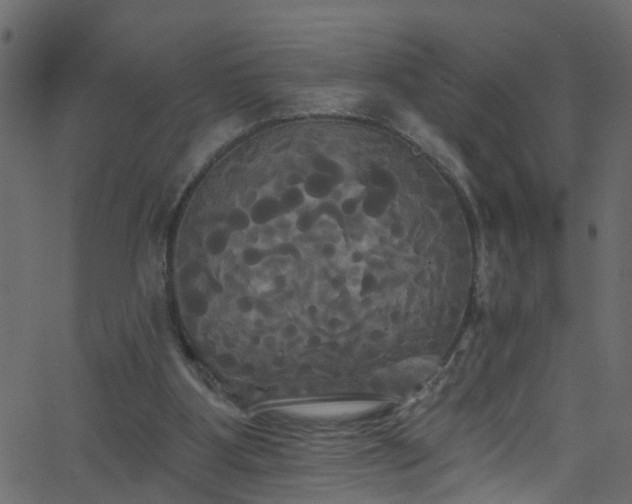 X0000068770107200605011037