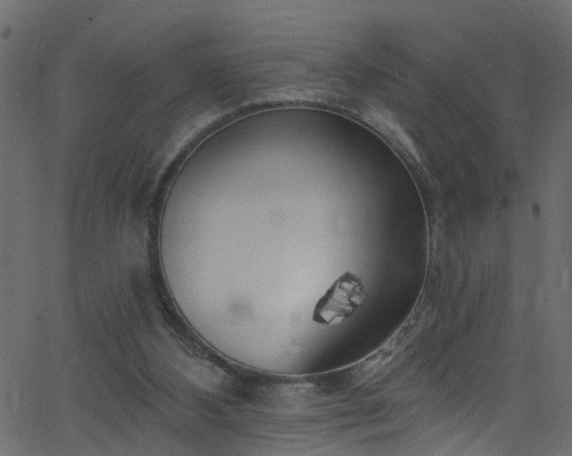 X0000068770108200605011037