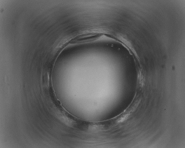 X0000068770109200605011037