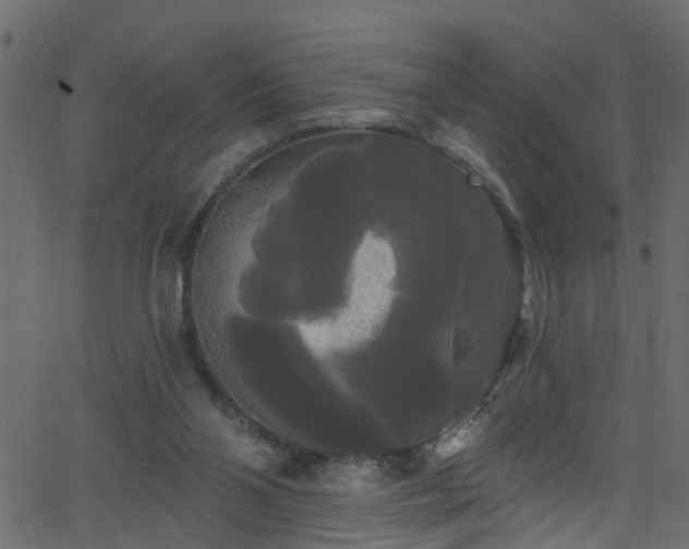 X0000068770110200605011037