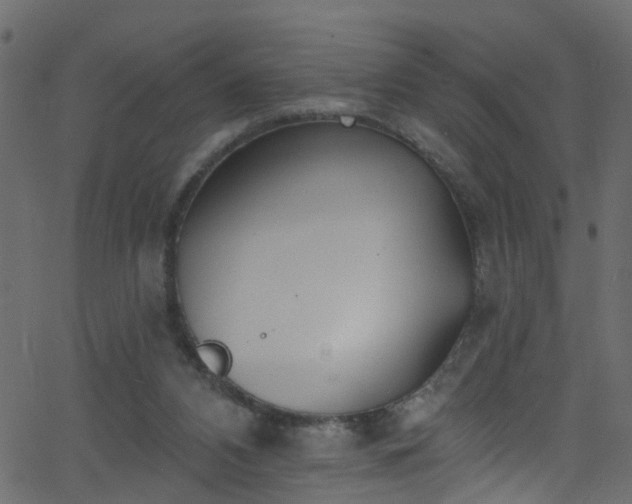 X0000068770112200605011037