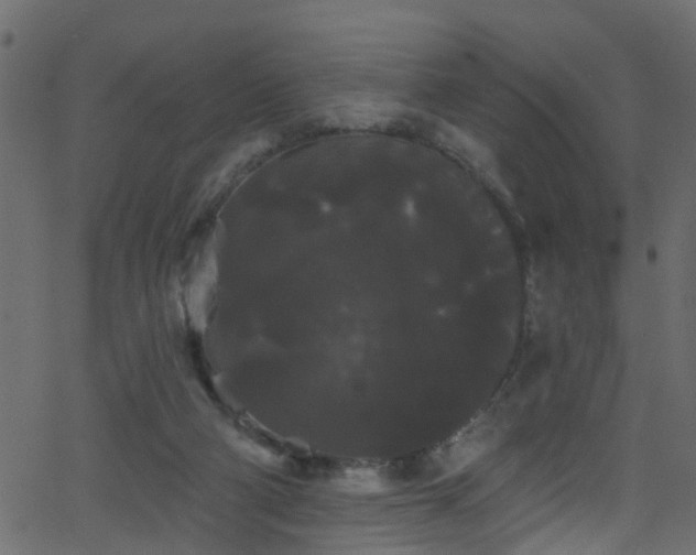 X0000068770114200605011037