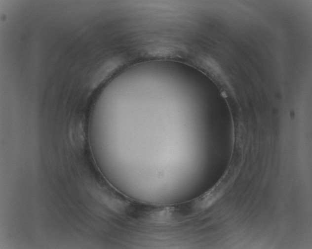 X0000068770116200605011037