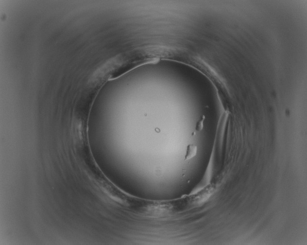 X0000068770117200605011037