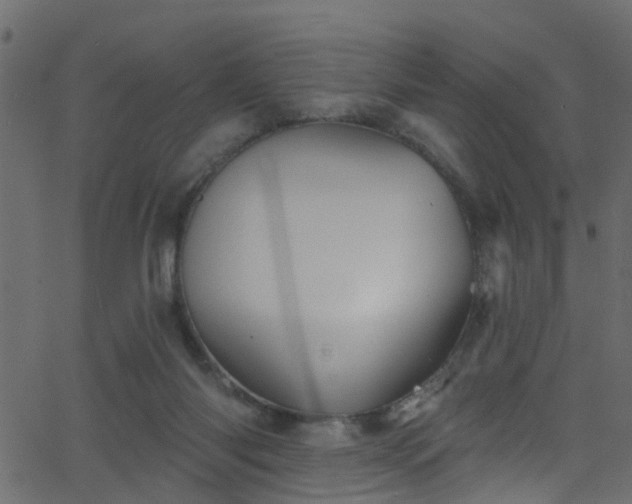 X0000068770118200605011037