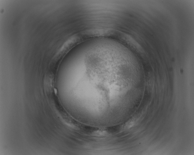 X0000068770119200605011037